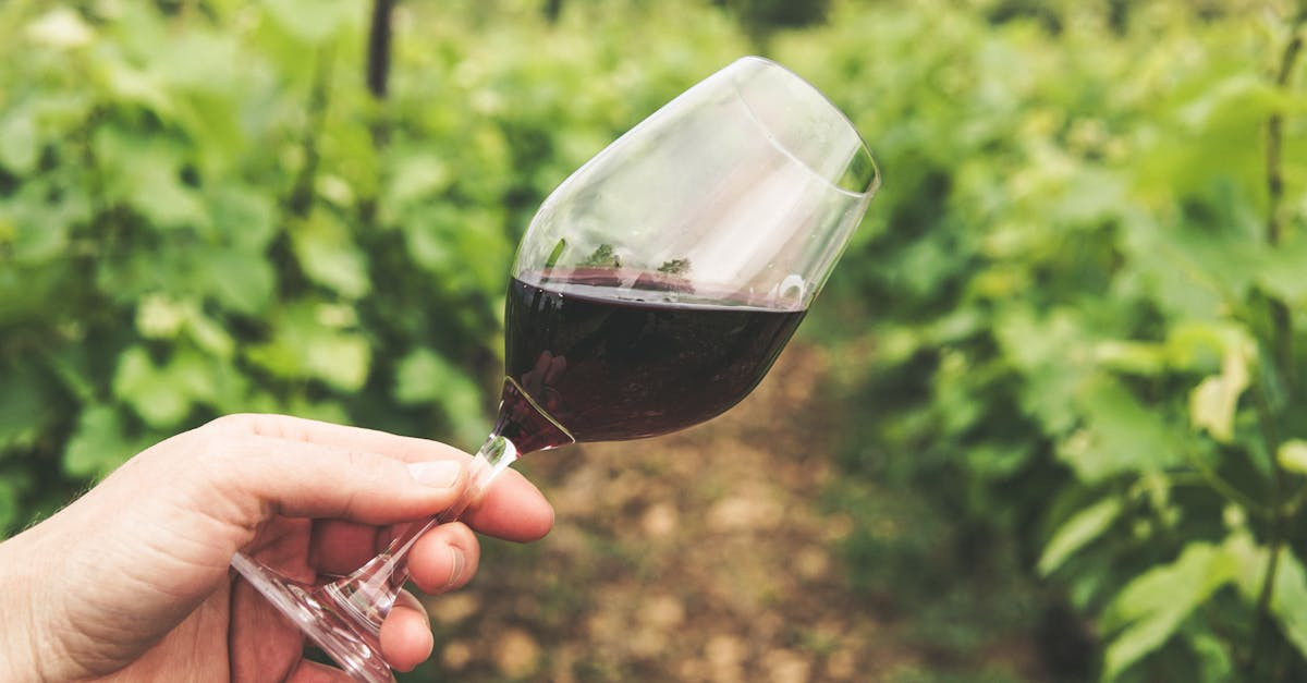 Kulturelle Sehenswürdigkeiten und Veranstaltungen